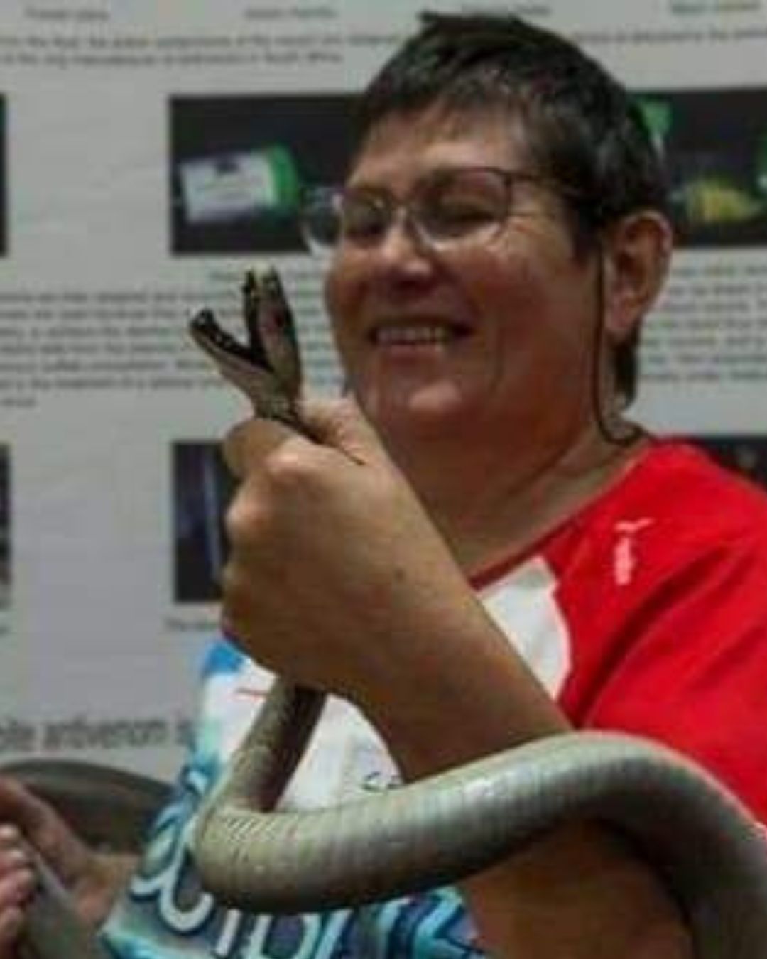 Carolyn Laithwaite - The Barefoot Vet Nurse - Mobile Vet Nurse